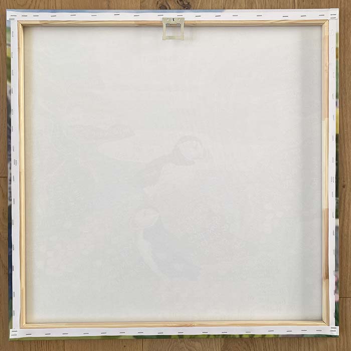 Hannah Dunnett Cast Your Cares Canvas Art Print back image