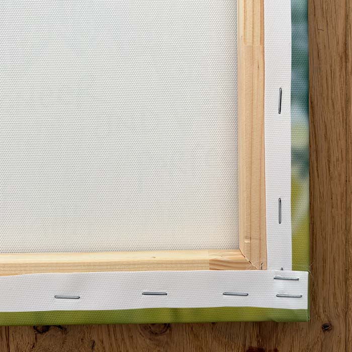 Freedom Canvas Print - Image 4